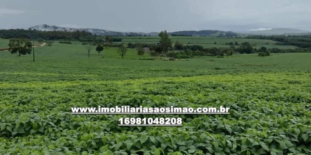 WhatsApp Image 2024-10-07 at 15.17.54 (1)