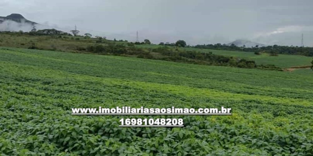 WhatsApp Image 2024-10-07 at 15.17.54 (2)