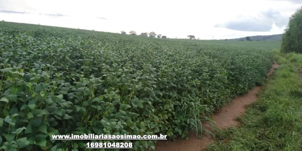 WhatsApp Image 2024-10-07 at 15.17.54 (3)