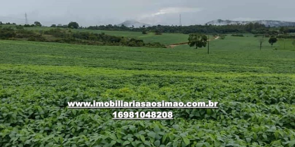 WhatsApp Image 2024-10-07 at 15.17.54 (4)