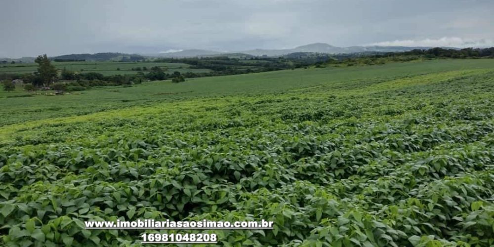 WhatsApp Image 2024-10-07 at 15.17.54