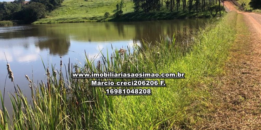 WhatsApp Image 2024-10-10 at 17.35.59 (1)