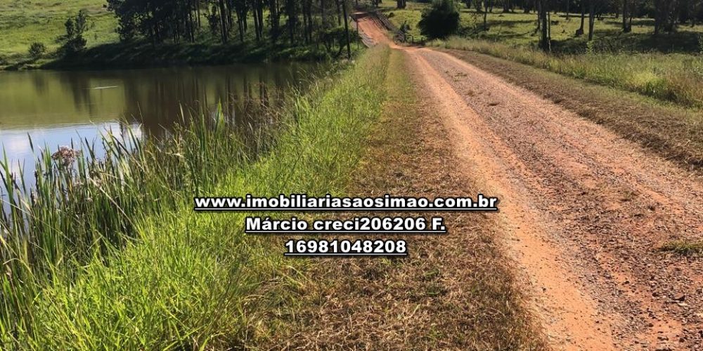 WhatsApp Image 2024-10-10 at 17.35.59