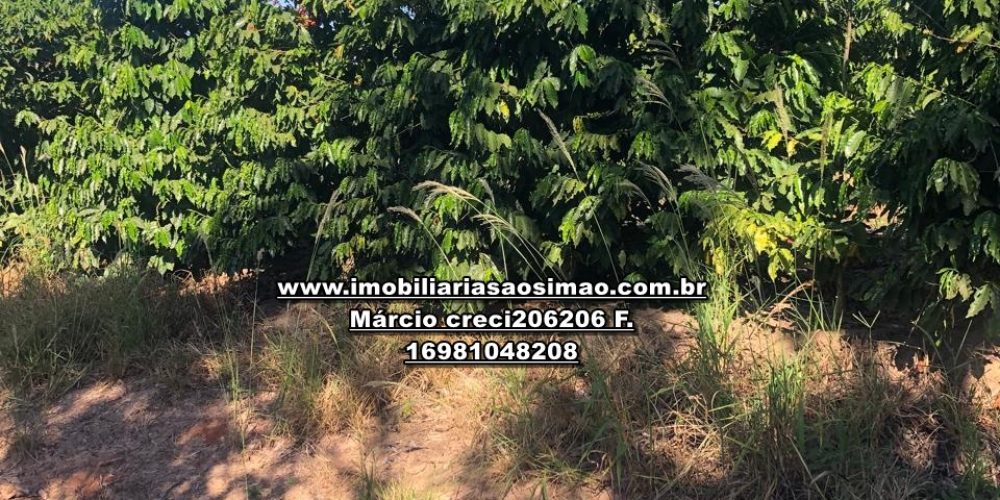 WhatsApp Image 2024-10-10 at 17.36.01