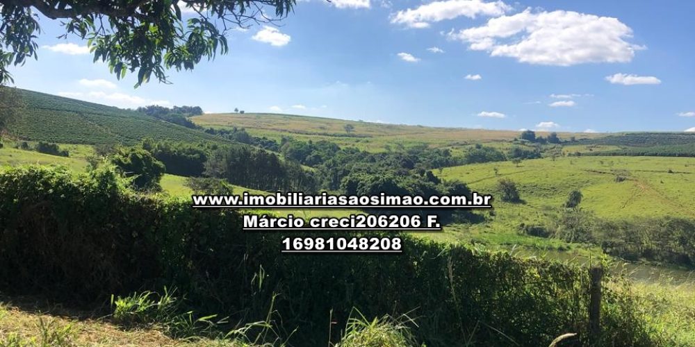 WhatsApp Image 2024-10-10 at 17.36.02 (2)