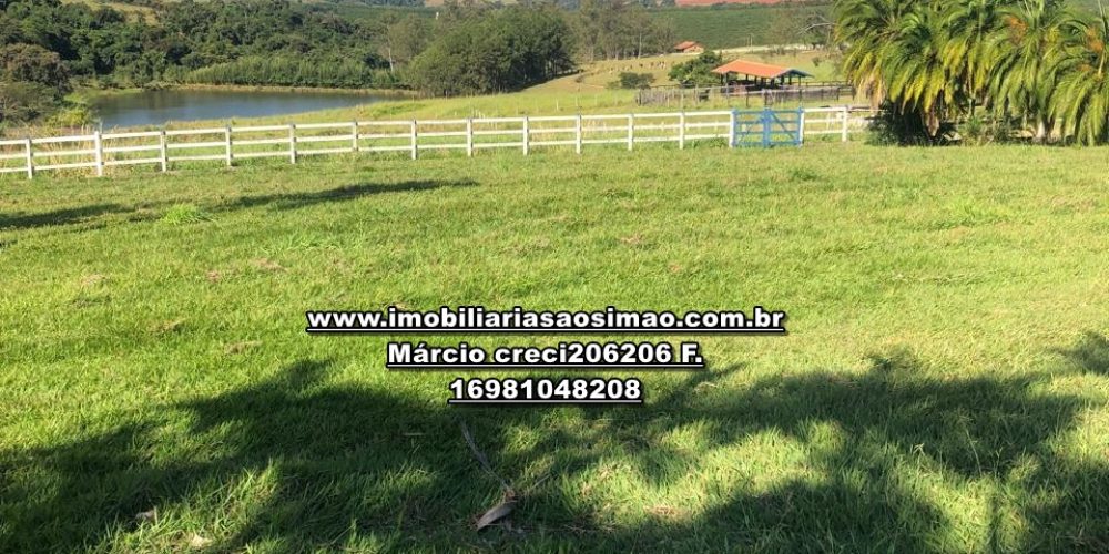 WhatsApp Image 2024-10-10 at 17.36.02