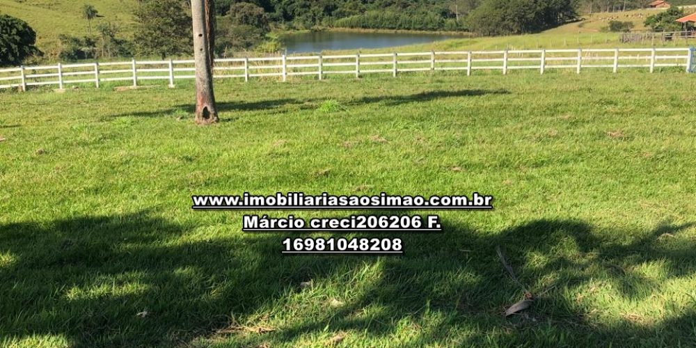 WhatsApp Image 2024-10-10 at 17.36.03