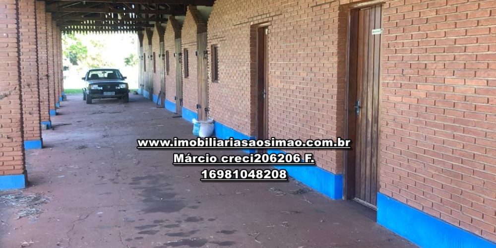 WhatsApp Image 2024-10-10 at 17.36.06 (1)