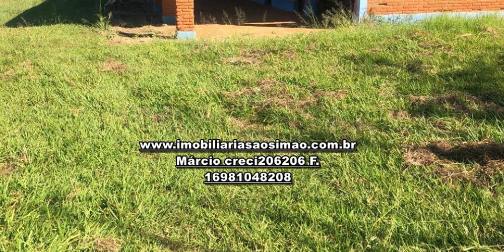 WhatsApp Image 2024-10-10 at 17.36.06