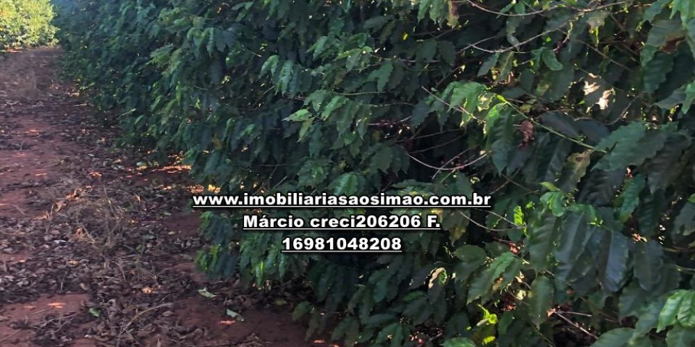 WhatsApp Image 2024-10-10 at 17.36.07 (1)