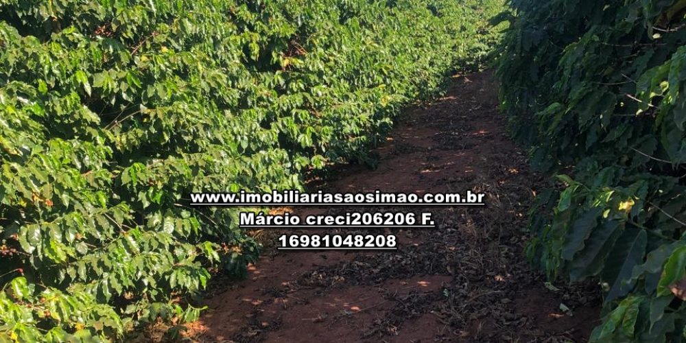 WhatsApp Image 2024-10-10 at 17.36.07