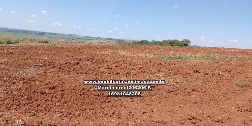 WhatsApp Image 2024-10-14 at 10.55.33