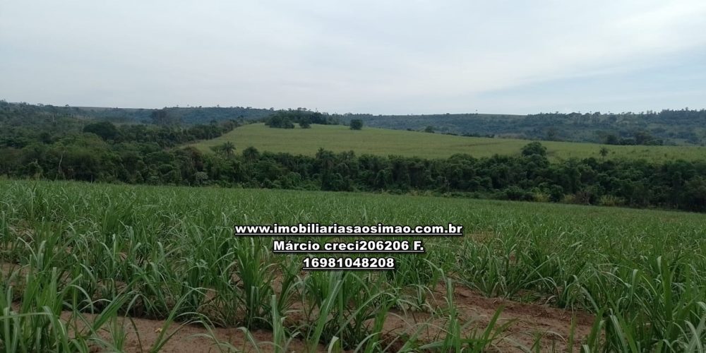 WhatsApp Image 2024-10-14 at 10.55.48