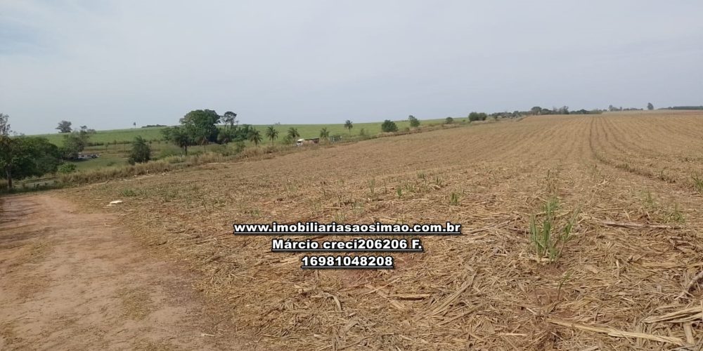 WhatsApp Image 2024-10-14 at 10.55.54