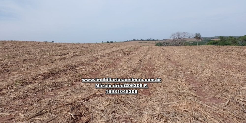 WhatsApp Image 2024-10-14 at 10.55.59