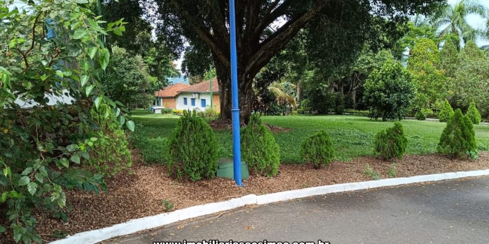 WhatsApp Image 2024-10-14 at 10.56.13