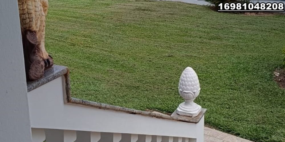 WhatsApp Image 2024-10-14 at 10.56.24