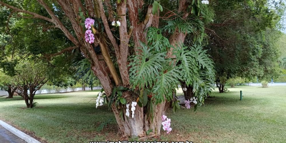 WhatsApp Image 2024-10-14 at 10.57.08 (1)