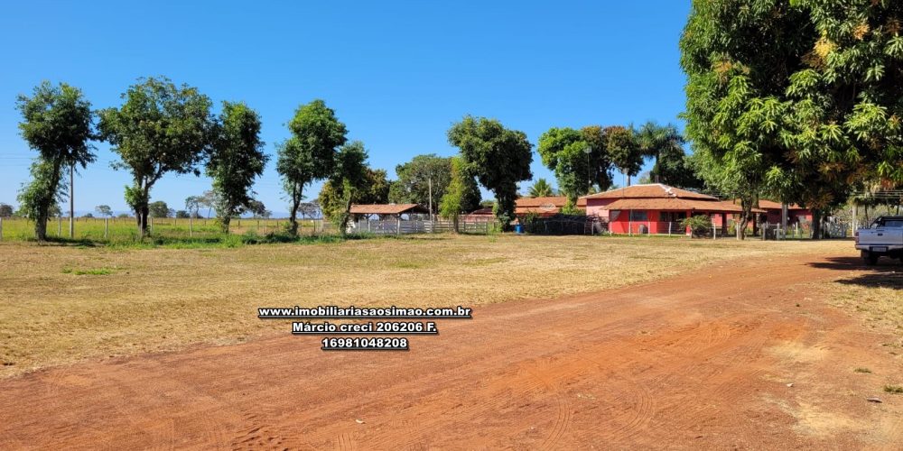 WhatsApp Image 2024-10-18 at 16.48.14