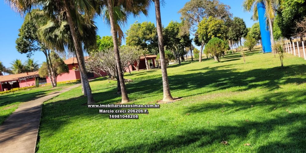 WhatsApp Image 2024-10-18 at 16.48.15