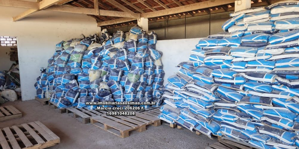 WhatsApp Image 2024-10-18 at 16.48.17