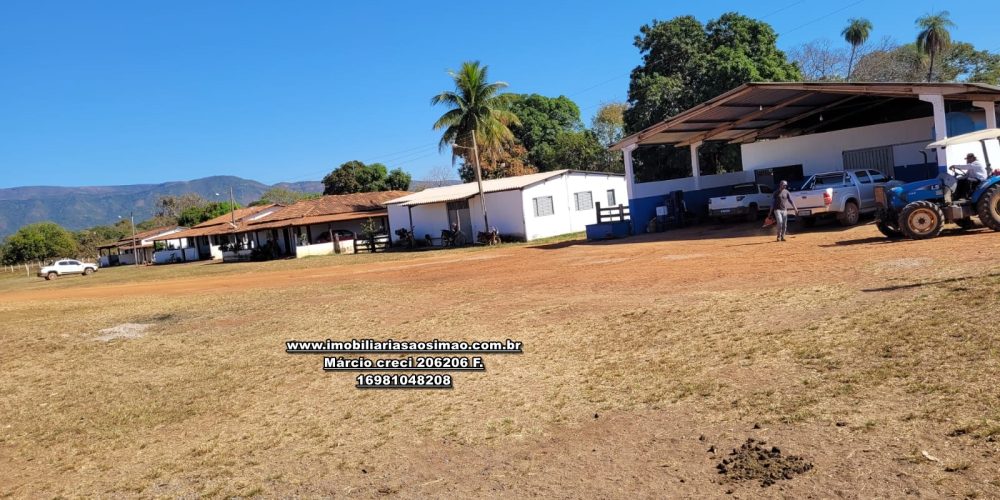 WhatsApp Image 2024-10-18 at 16.48.18 (1)