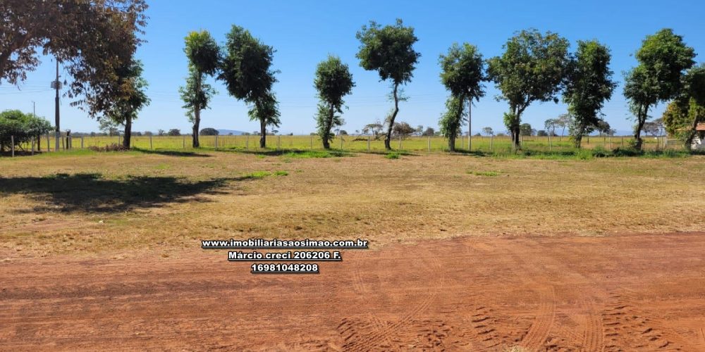 WhatsApp Image 2024-10-18 at 16.48.18