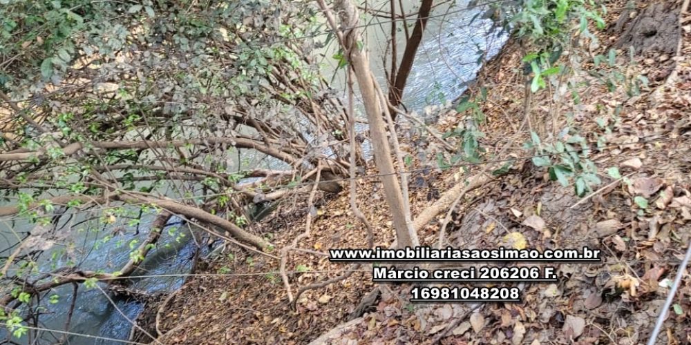 WhatsApp Image 2024-10-18 at 16.48.19 (1)