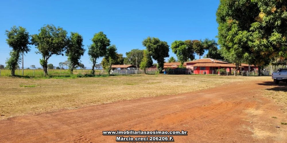 WhatsApp Image 2024-10-18 at 16.48.27