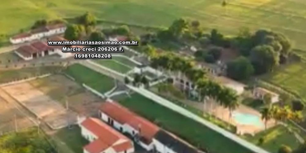 WhatsApp Image 2024-10-18 at 16.49.24