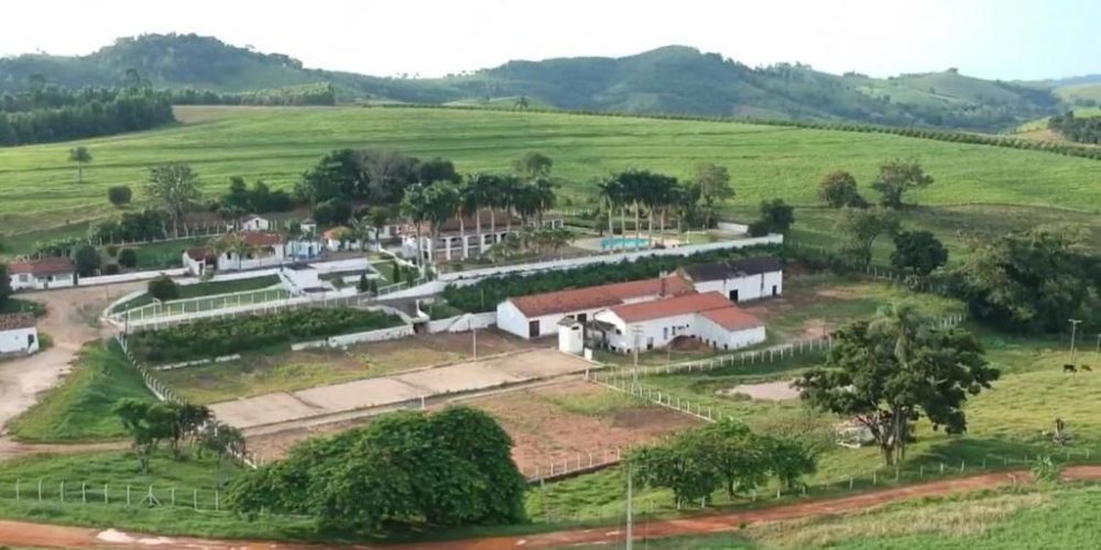 WhatsApp Image 2024-10-18 at 16.49.25