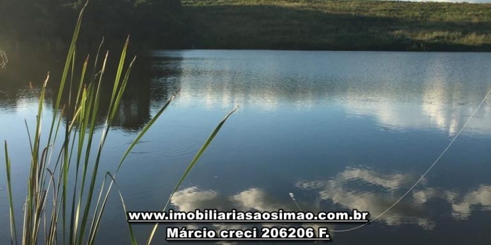 WhatsApp Image 2024-10-18 at 16.49.26 (1)