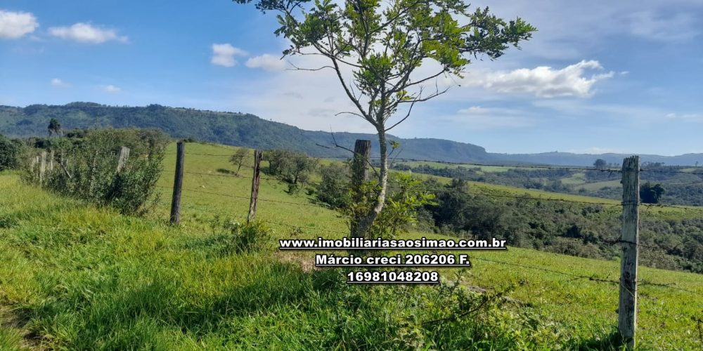 WhatsApp Image 2024-10-23 at 17.24.57