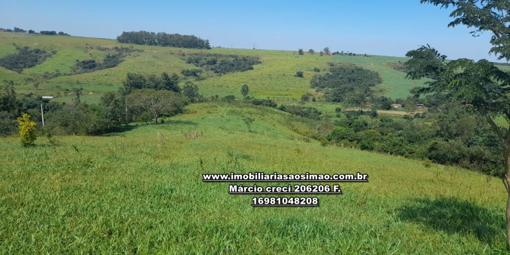 WhatsApp Image 2024-10-23 at 17.24.58 (1)