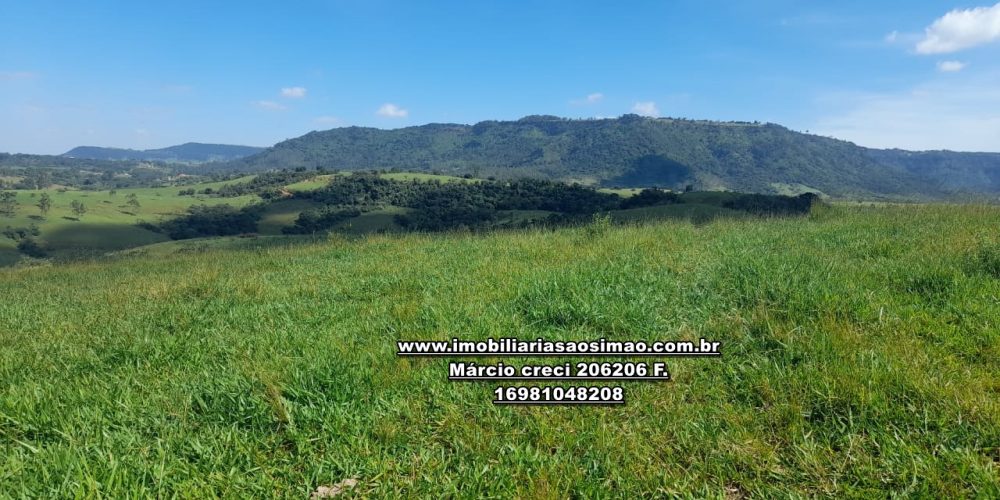 WhatsApp Image 2024-10-23 at 17.24.58 (2)