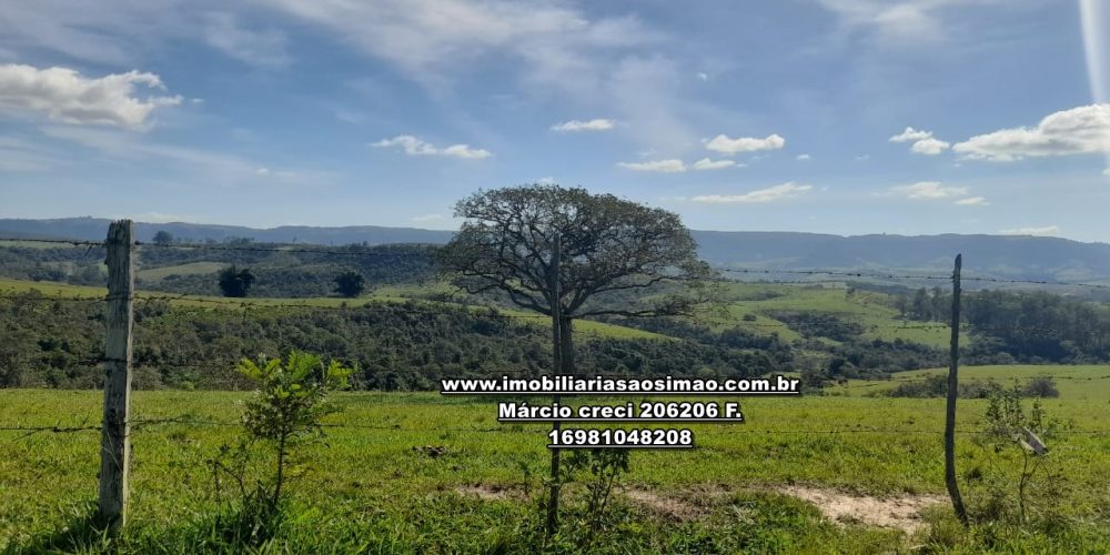 WhatsApp Image 2024-10-23 at 17.24.58