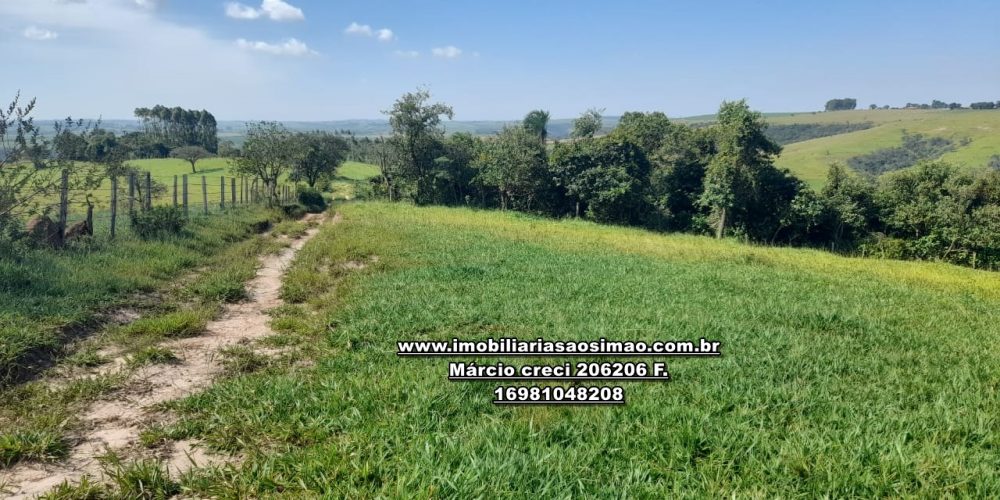 WhatsApp Image 2024-10-23 at 17.24.59 (1)