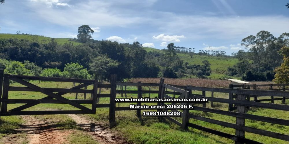 WhatsApp Image 2024-10-23 at 17.24.59 (2)