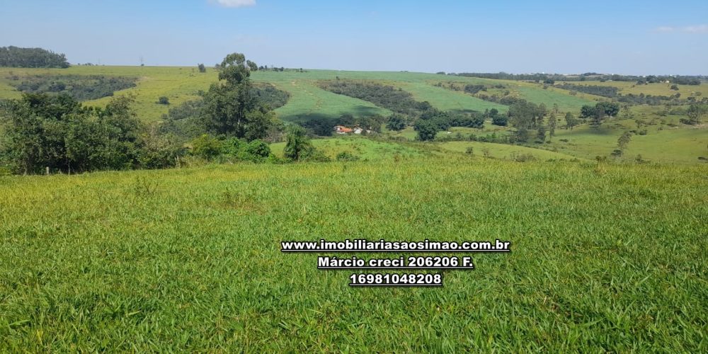 WhatsApp Image 2024-10-23 at 17.24.59