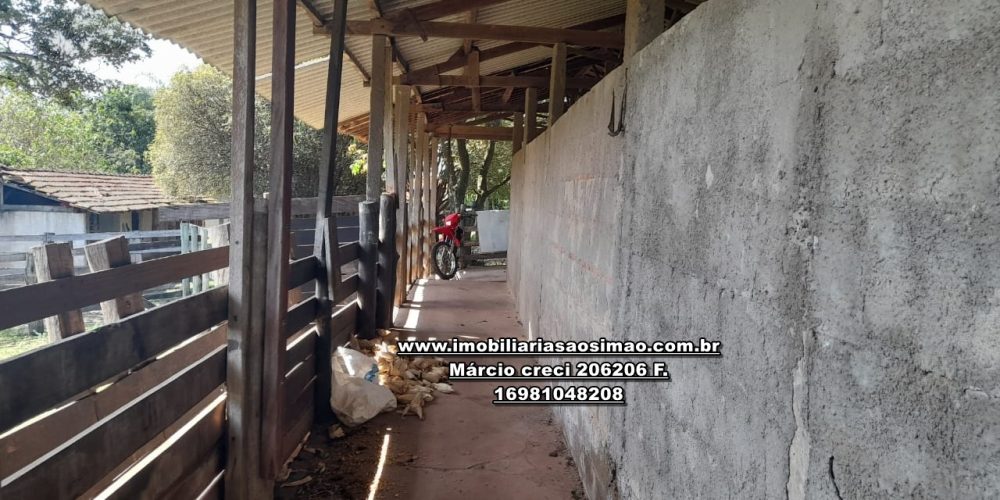 WhatsApp Image 2024-10-23 at 17.25.00 (1)