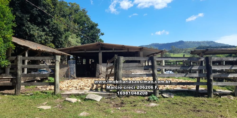 WhatsApp Image 2024-10-23 at 17.25.00