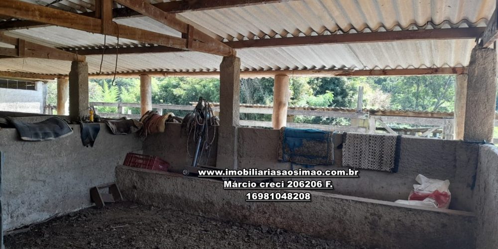 WhatsApp Image 2024-10-23 at 17.25.01