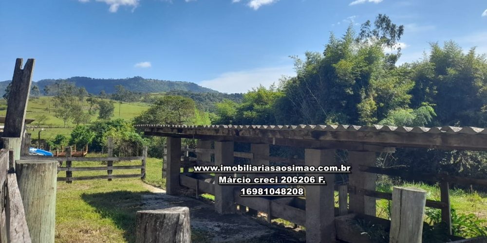 WhatsApp Image 2024-10-23 at 17.25.02 (1)