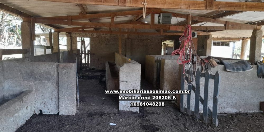 WhatsApp Image 2024-10-23 at 17.25.02