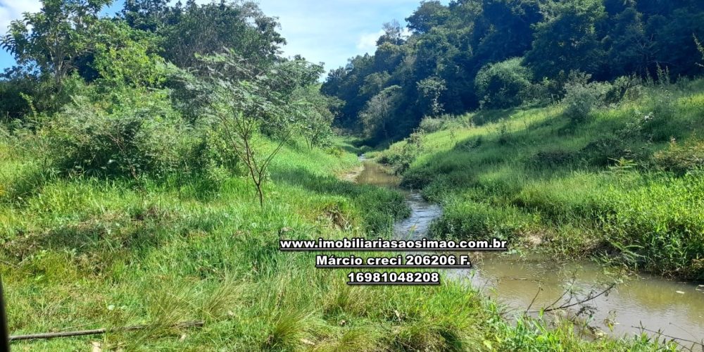 WhatsApp Image 2024-10-23 at 17.26.37