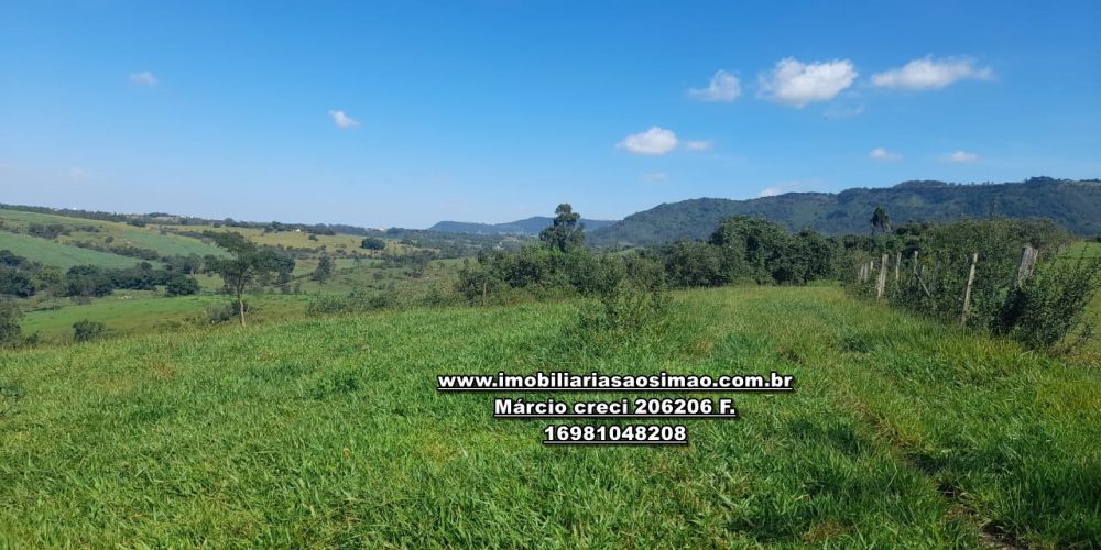 WhatsApp Image 2024-10-23 at 17.26.39