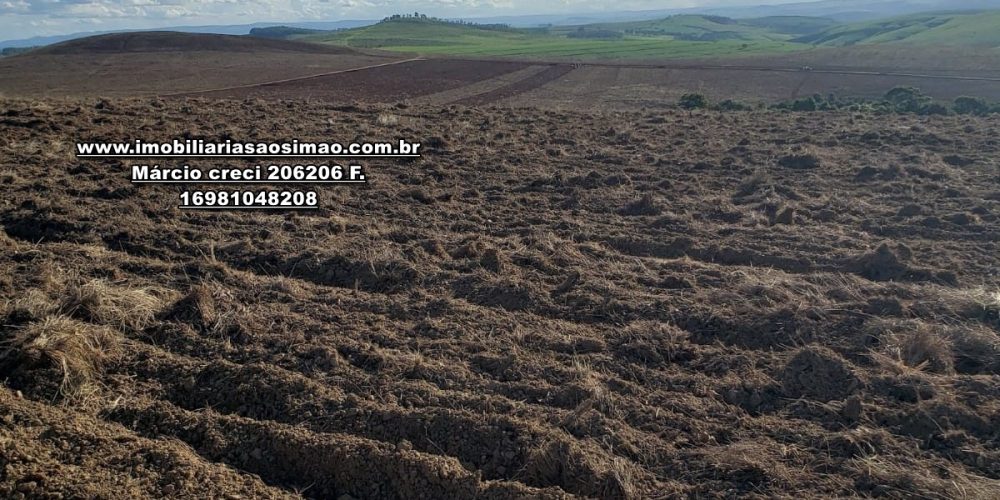 WhatsApp Image 2024-10-23 at 19.39.29 (1)