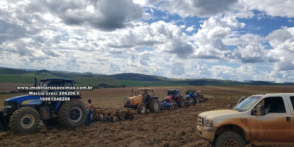 WhatsApp Image 2024-10-23 at 19.39.29 (2)