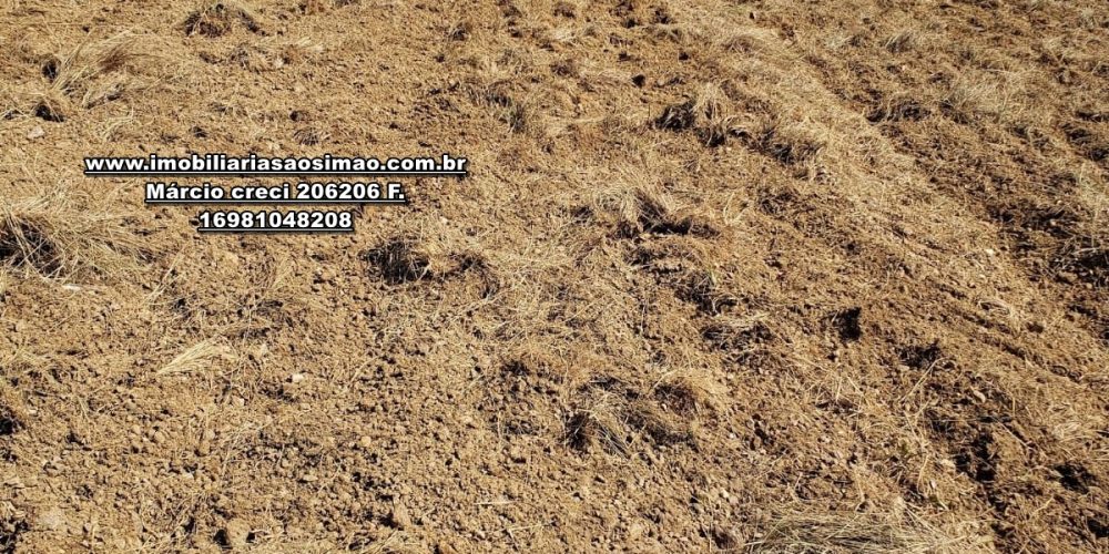 WhatsApp Image 2024-10-23 at 19.39.29 (3)