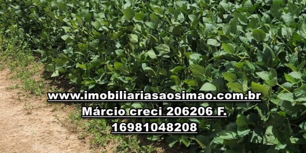 WhatsApp Image 2024-10-23 at 19.39.30 (2)